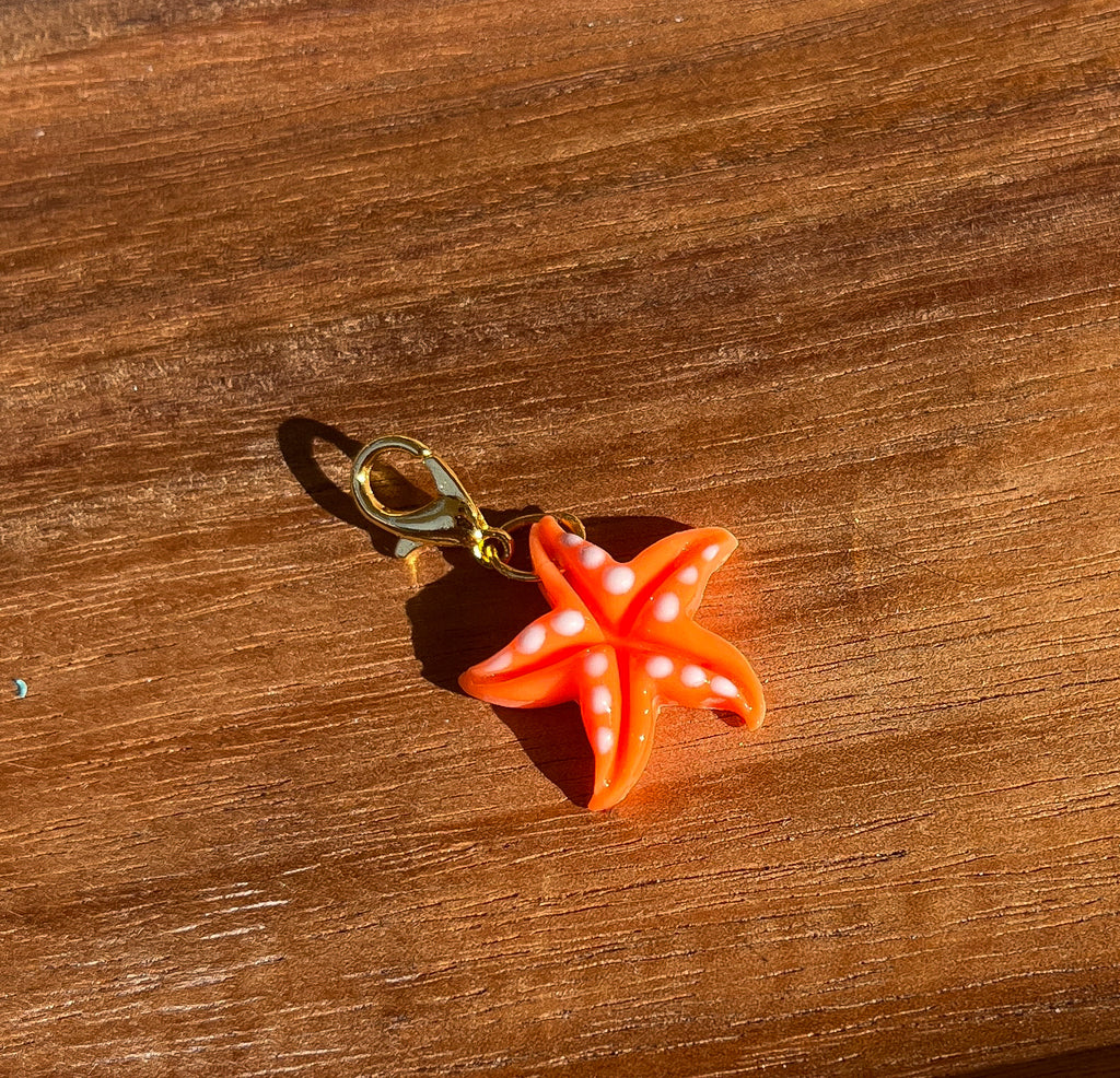 Charms interchangeables