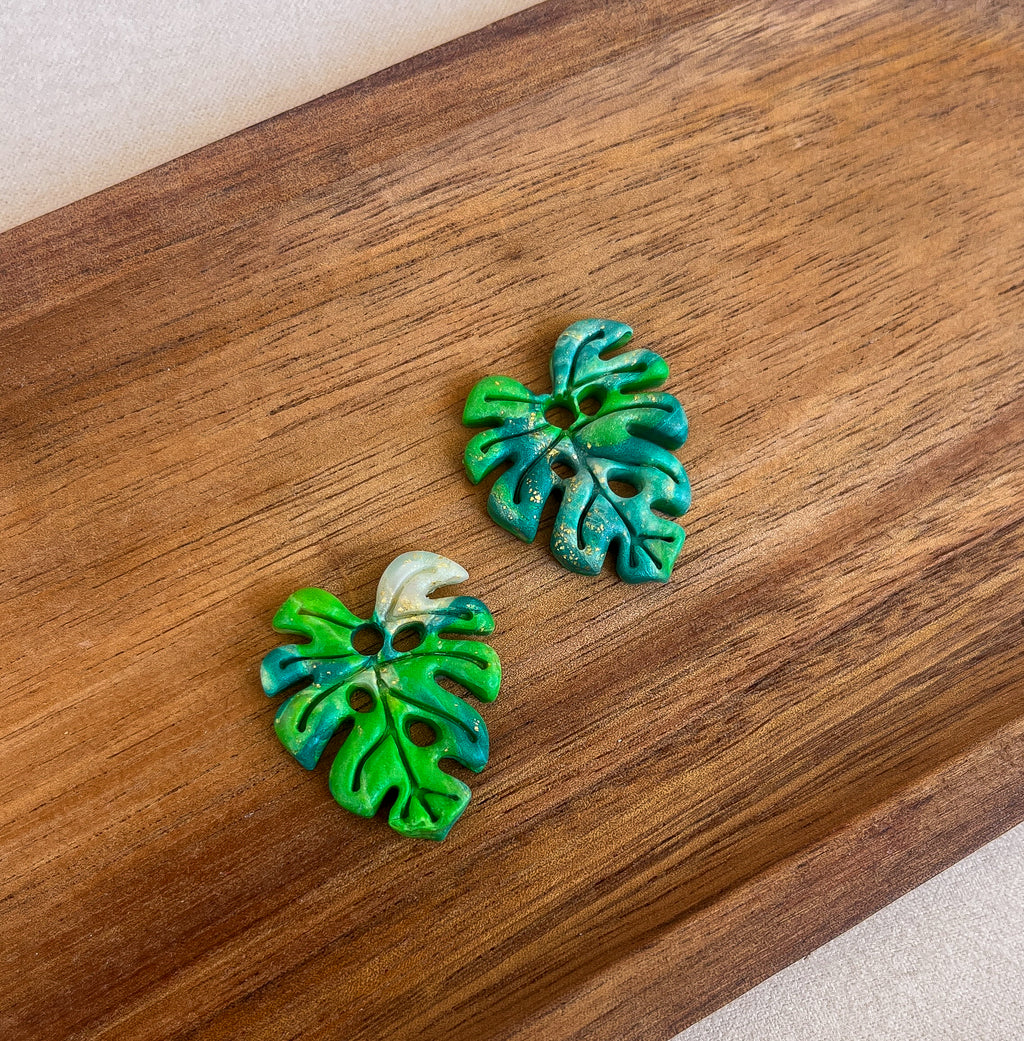 Monstera